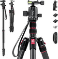 Foldable Aluminum Camera Tripod & Monopod N771031
