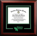 North Texas Mean Green Spirit Diploma Frame O421