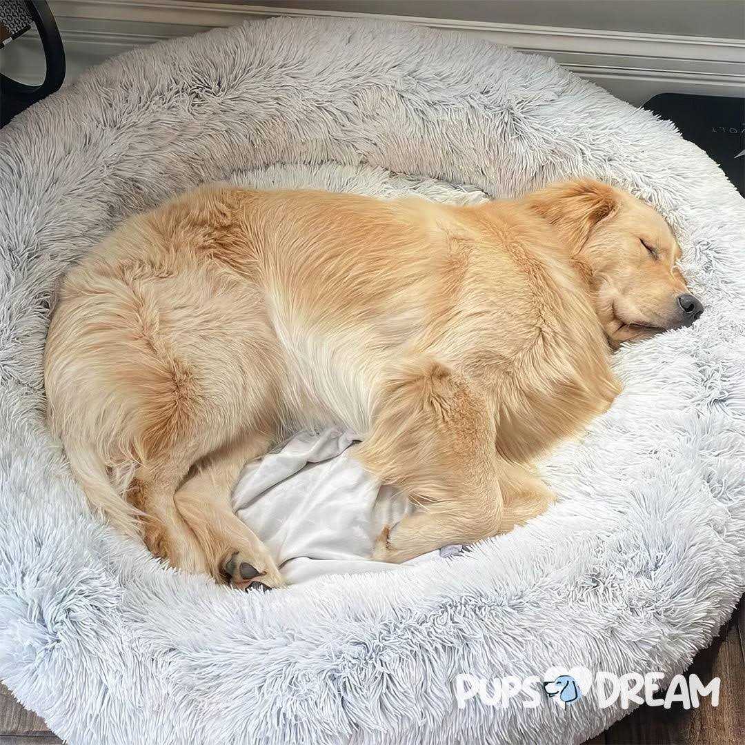 Calming Dog Bed B4701