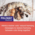 Multicat 3-Pack Refill B27755