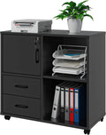 White Rolling Office Storage Cabinet with 2 Drawers Z829