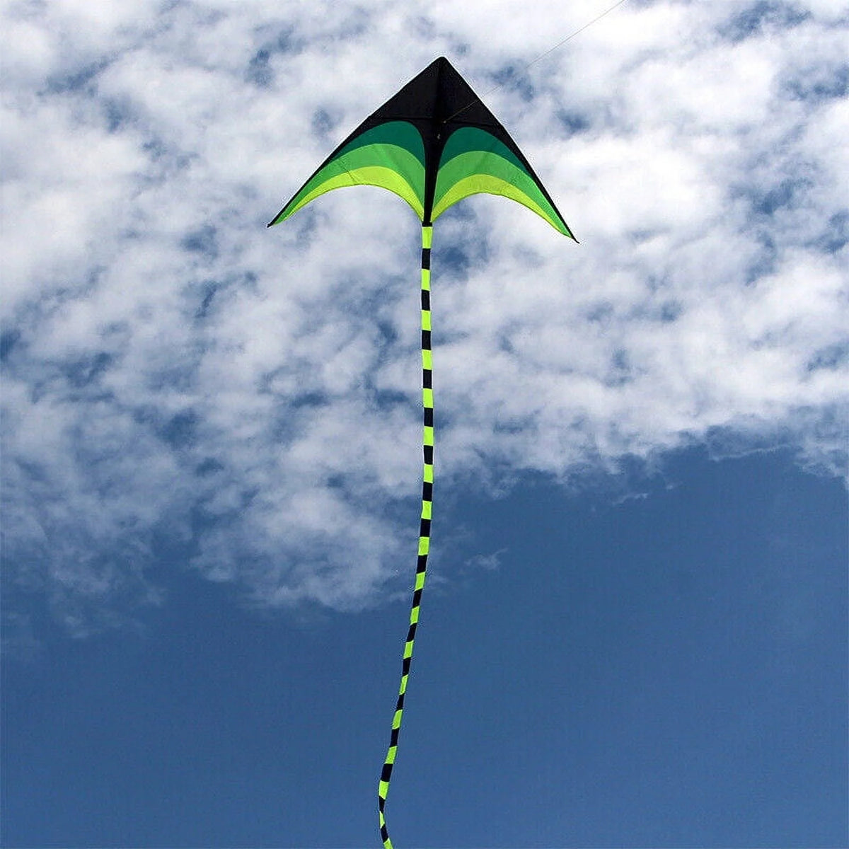 Giant Kite with Tail and String Q54666