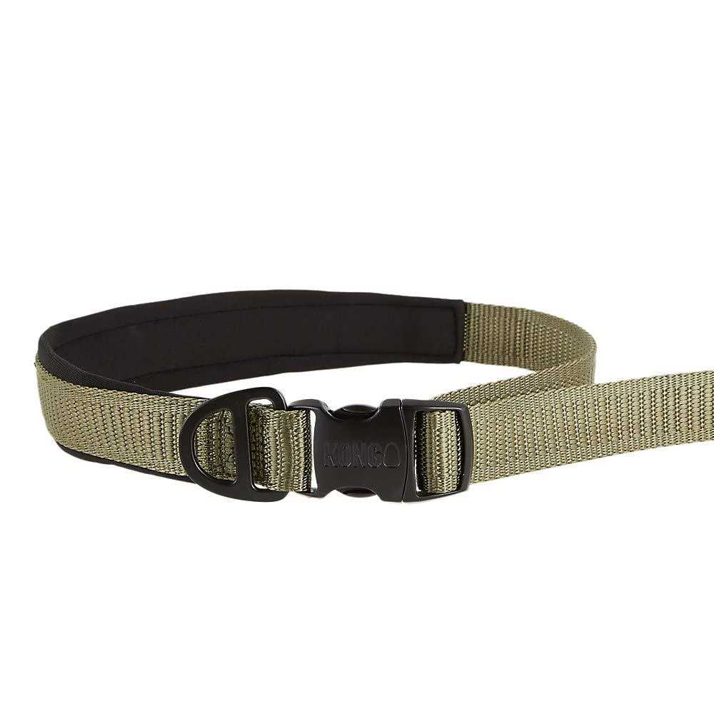 Hands-Free Dog Leash 6-ft Green V525