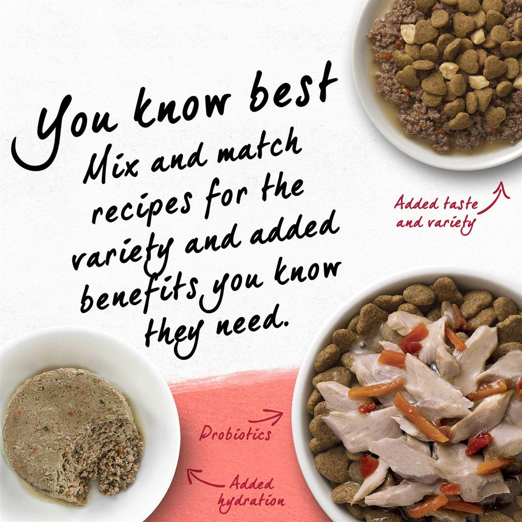 Cat Dry Food C107780