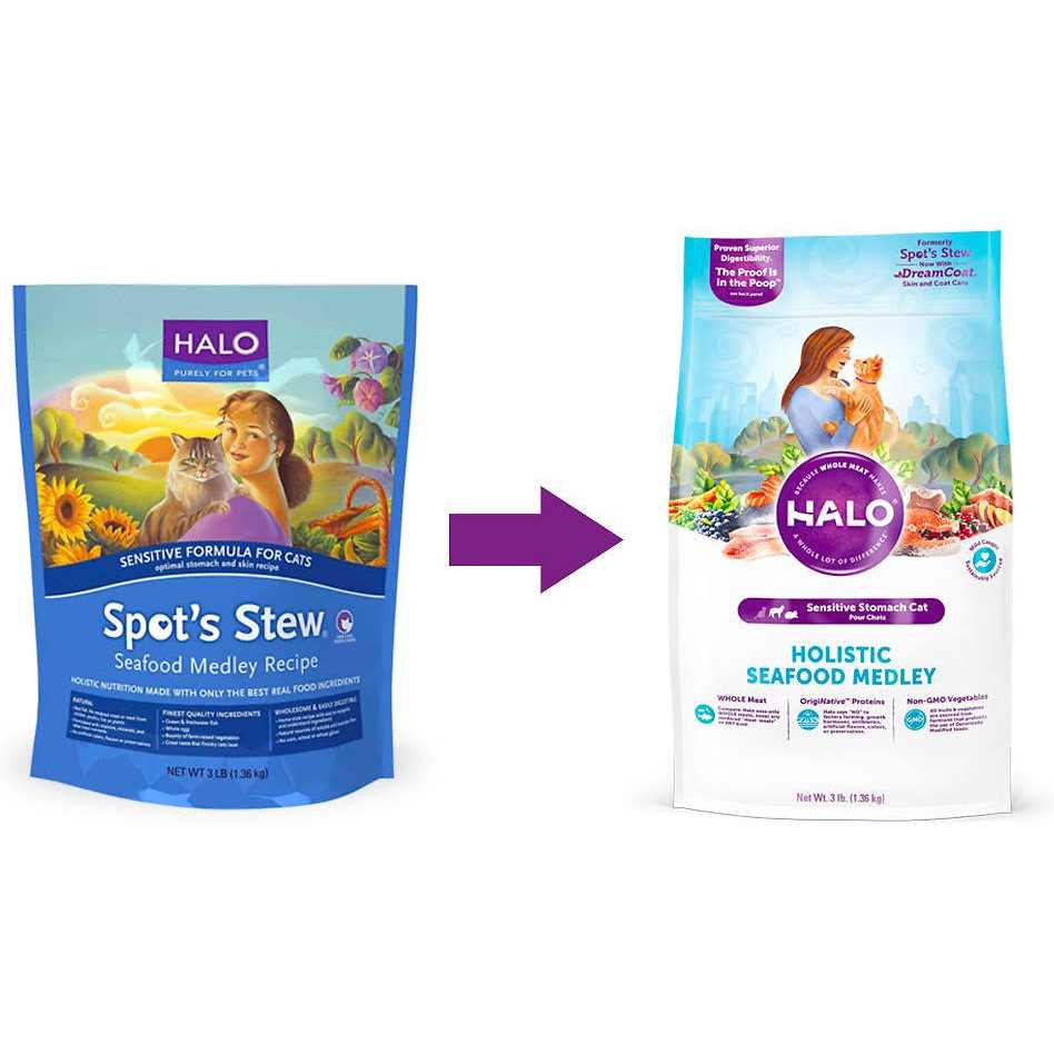 Seafood Sensitive Stomach Dry Cat Food V8999