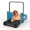 Small Dogs Medium Dogs Dog Treadmill U616