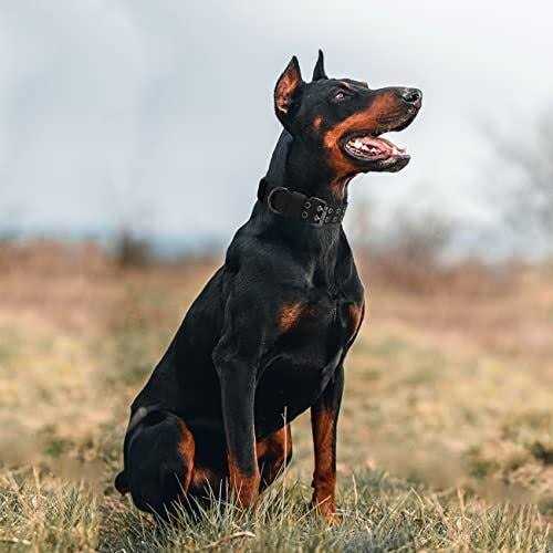 Nylon Adjustable Heavy Duty Tactical Dog Collar W704513