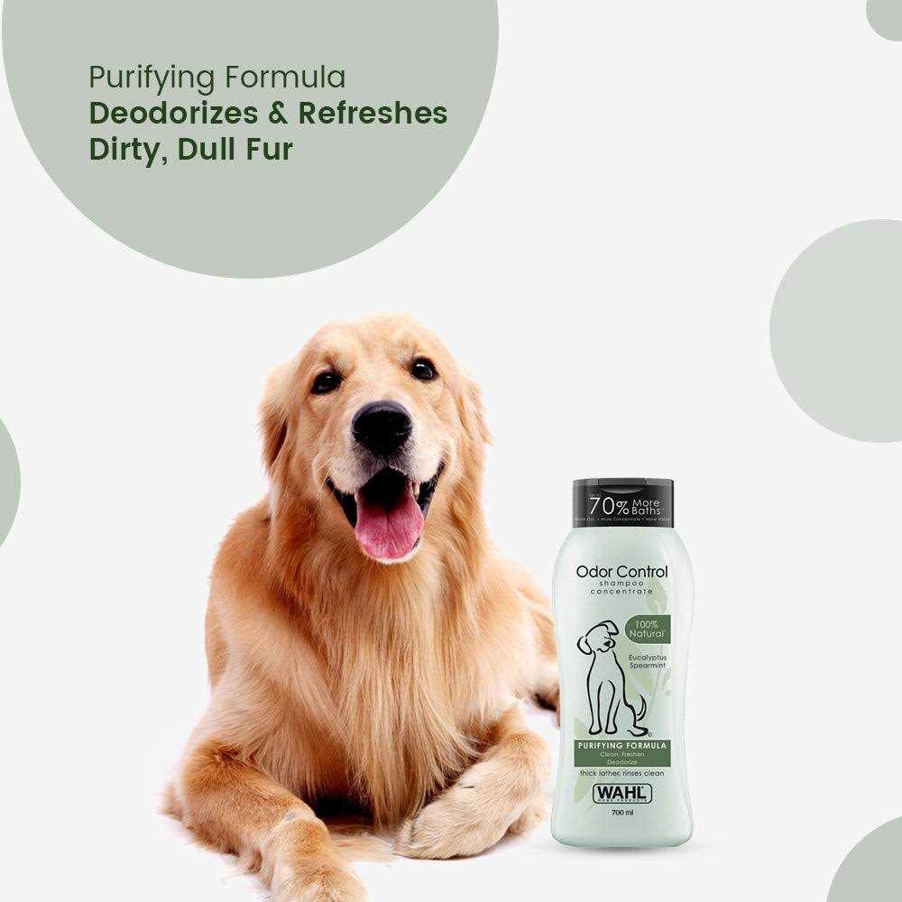 Odor Control Shampoo A4910