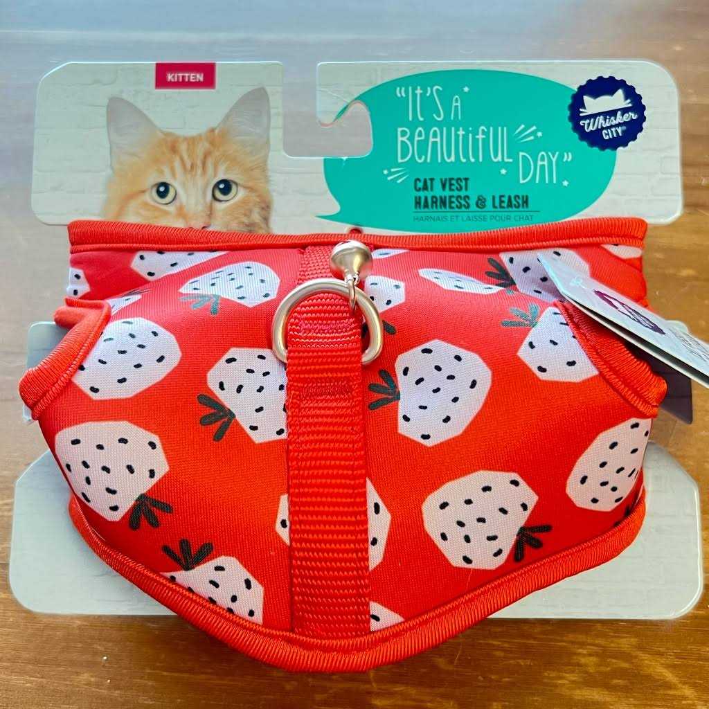 Cat Leash and Harness Combo J63862