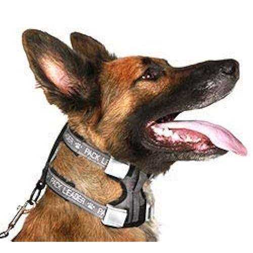 Training Collar A58170
