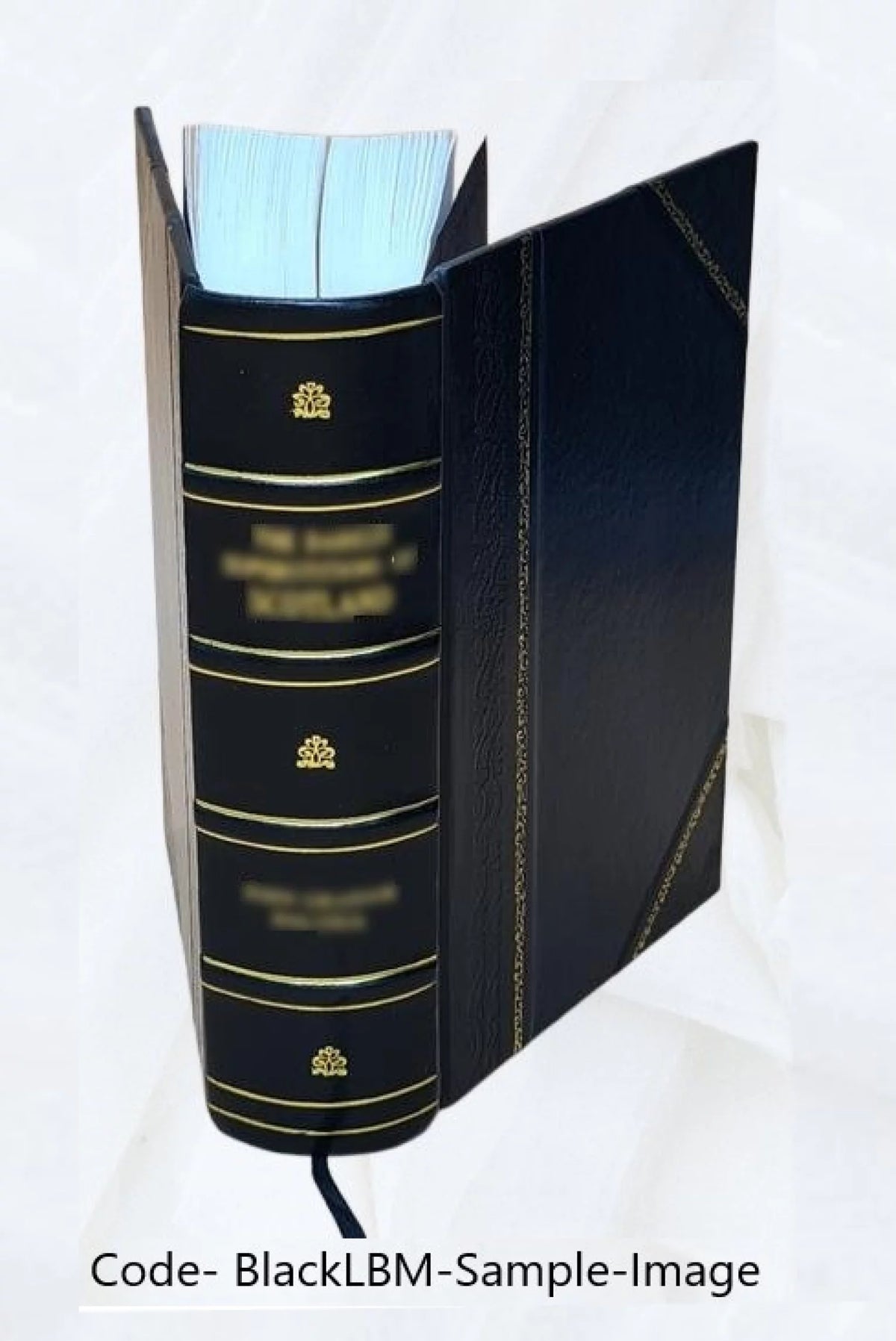 Gardens and Domestic Animals Leather Bound Y75870
