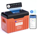 12V 100AH LiFePO4 Lithium Battery with Bluetooth T191