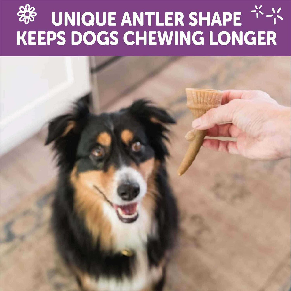 Dog Chews Value Bag N7953
