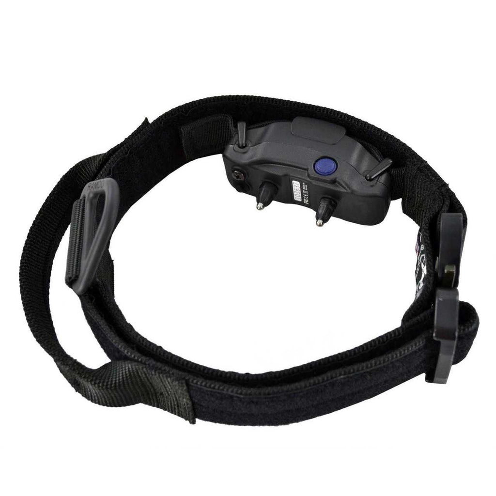 ID Collar P981