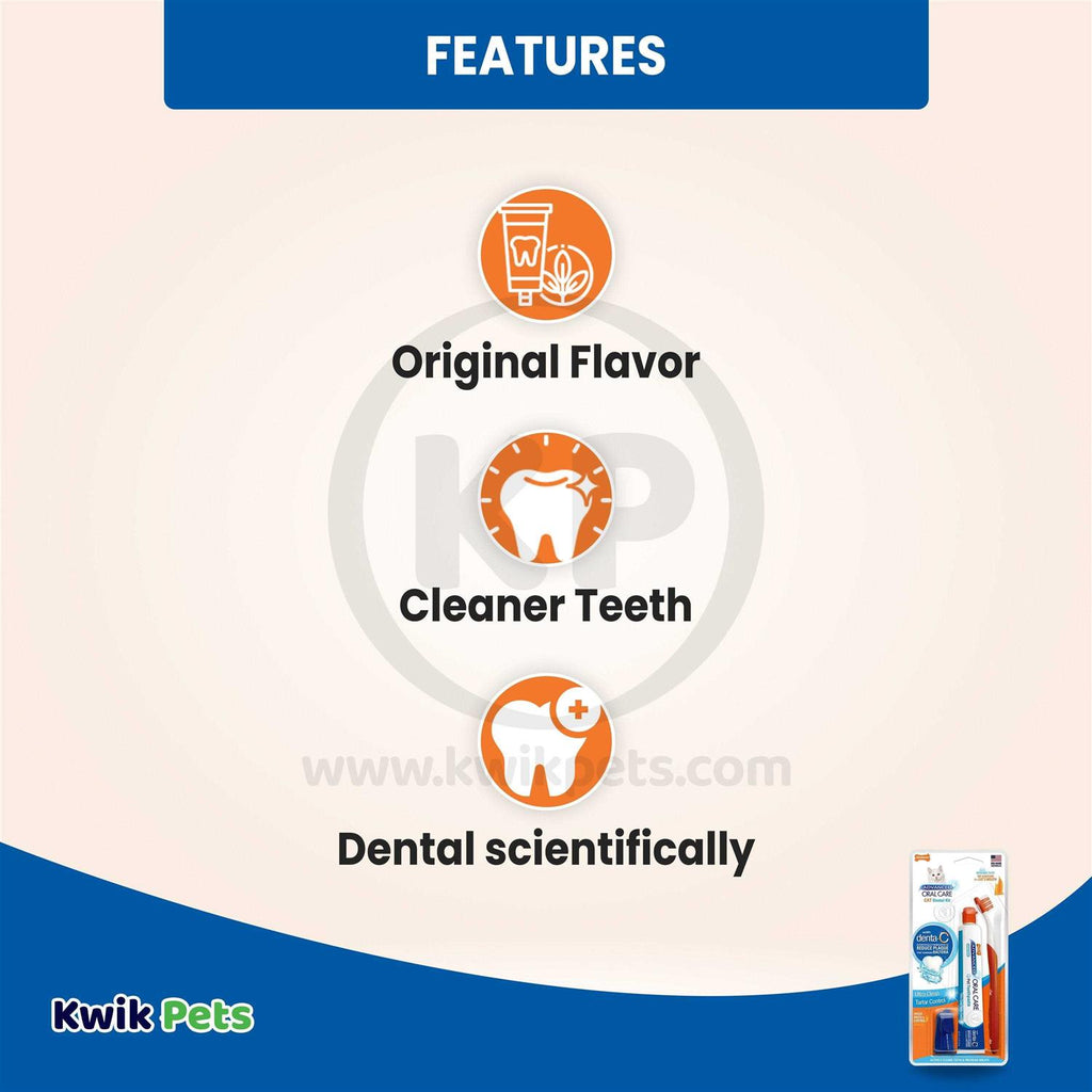 Cat Oral Care Dental Kit W63758