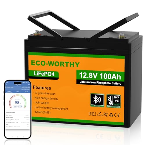 12V 100AH LiFePO4 Lithium Battery with Bluetooth T191