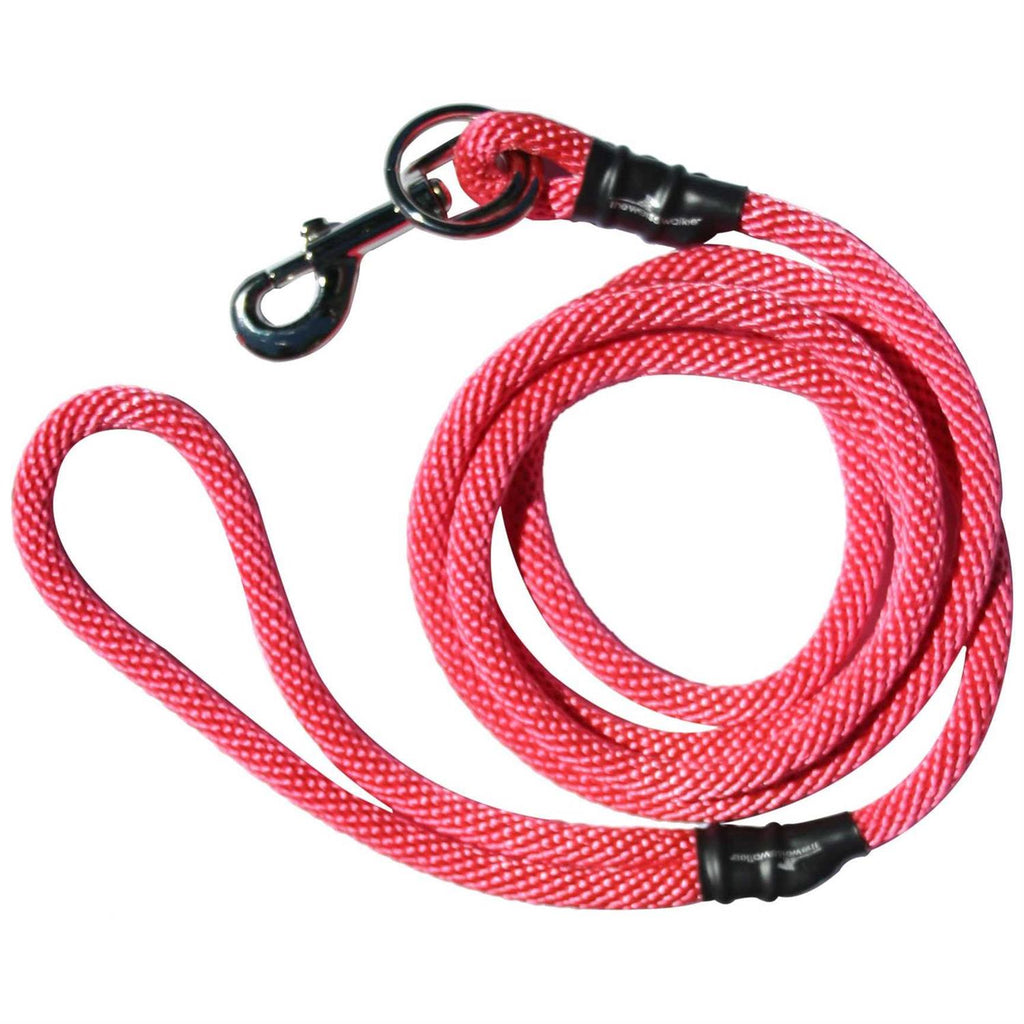 No Pull Dog Leash O863232