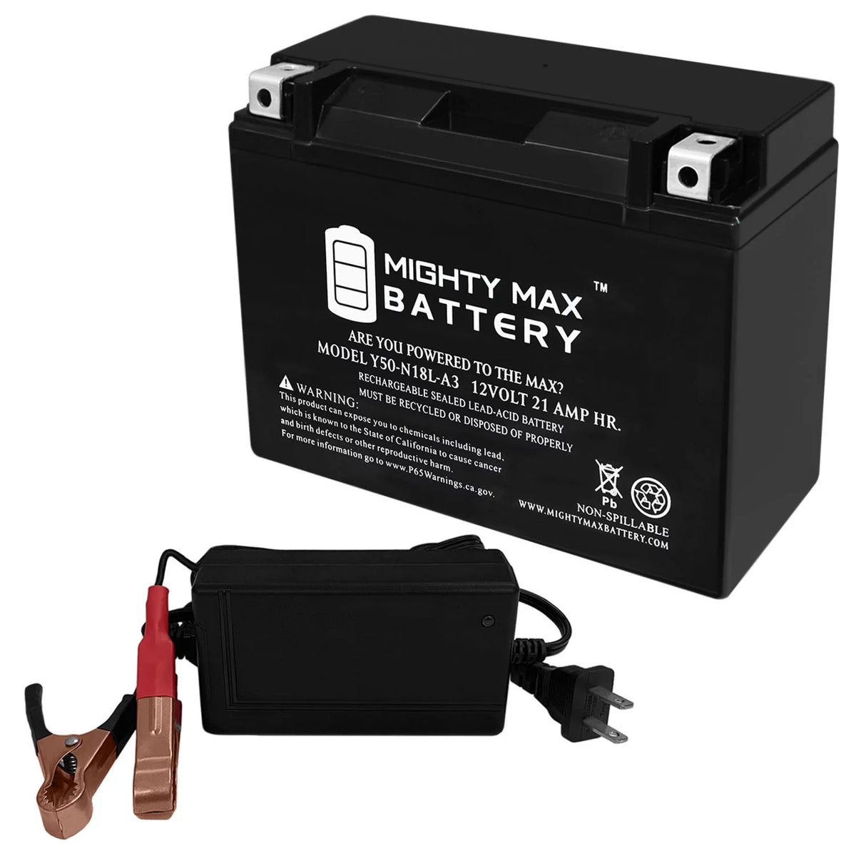 12V Replacement Battery with 4Amp Charger S5653
