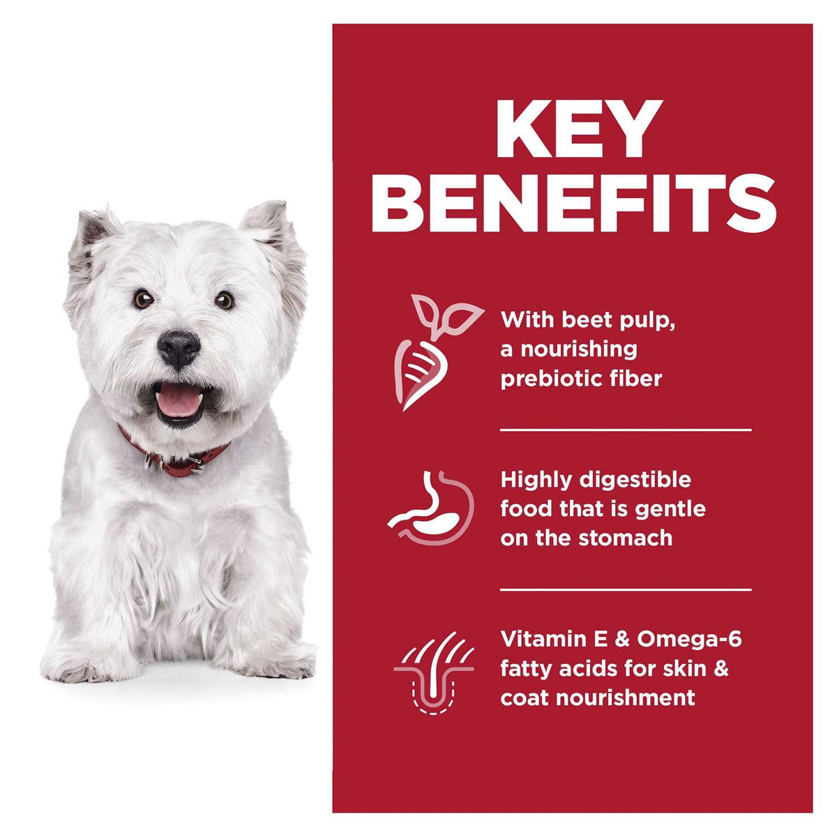 Sensitive Stomach & Skin Small Bites Dry Dog Food B6877