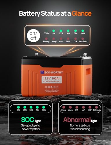 12V 100AH LiFePO4 Lithium Battery with Bluetooth T191