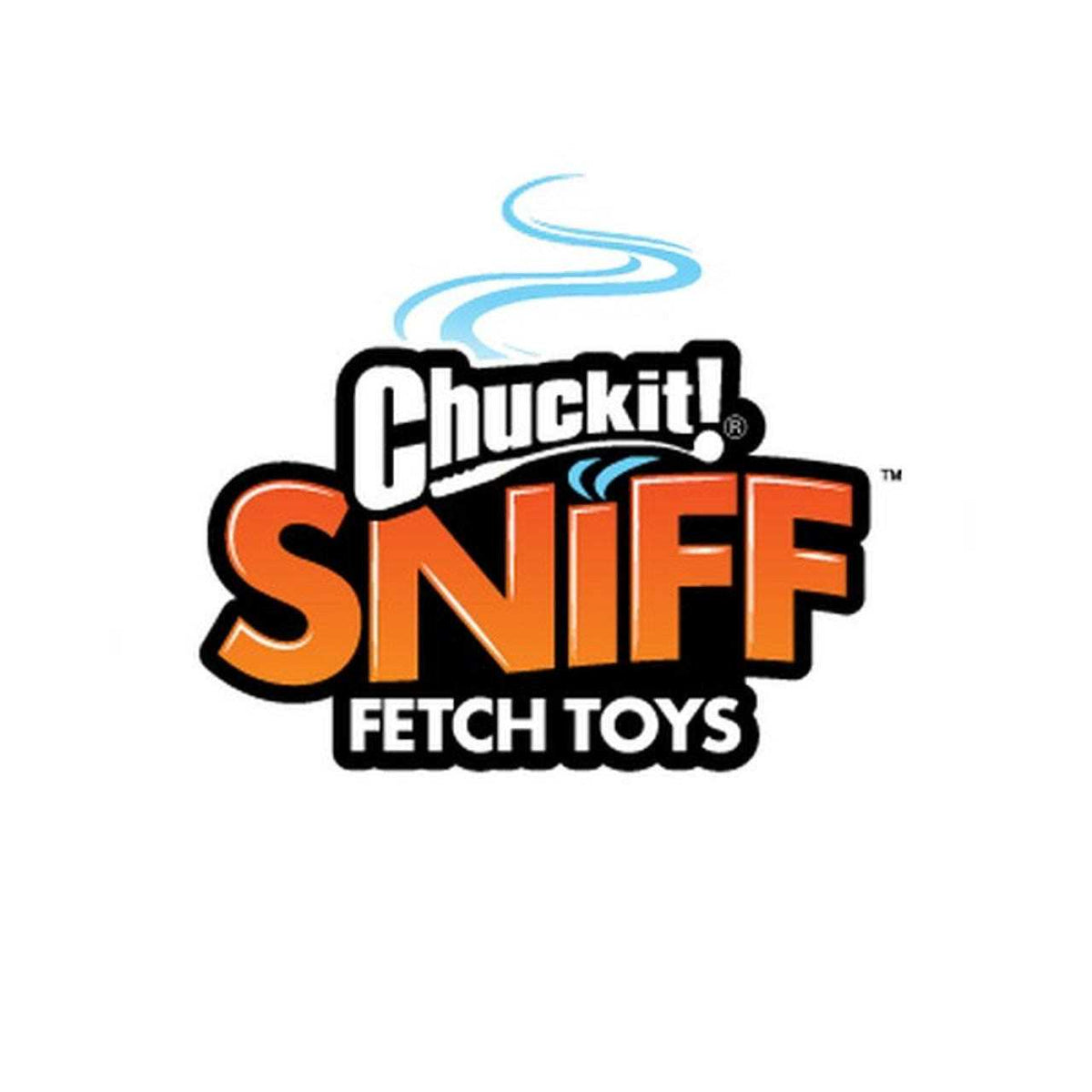 Sniff Fetch Ball Dog Toy B566