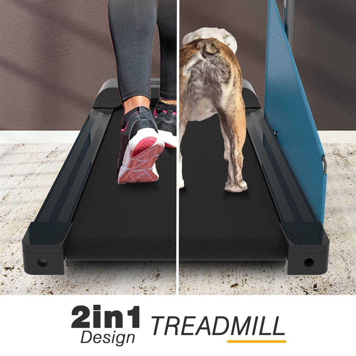 Small Dogs Medium Dogs Dog Treadmill U616