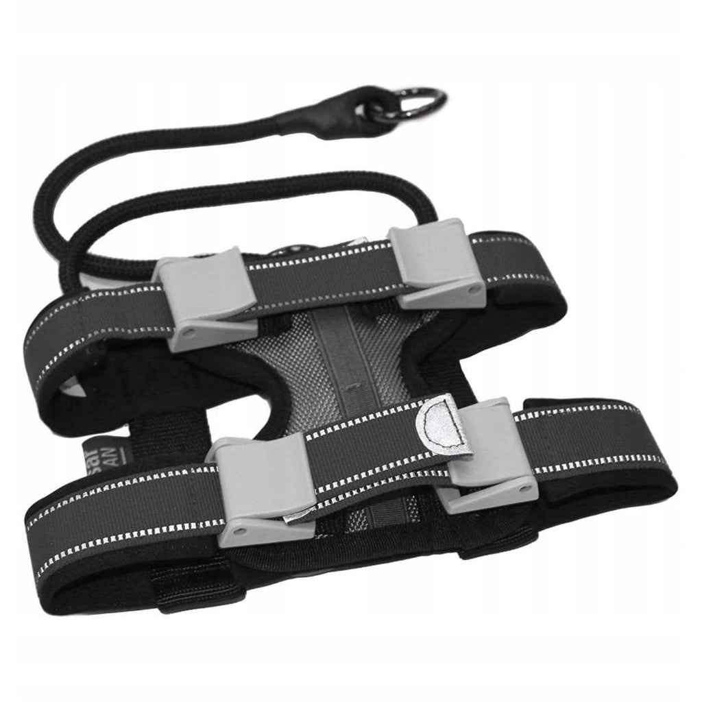 Training Collar A58170
