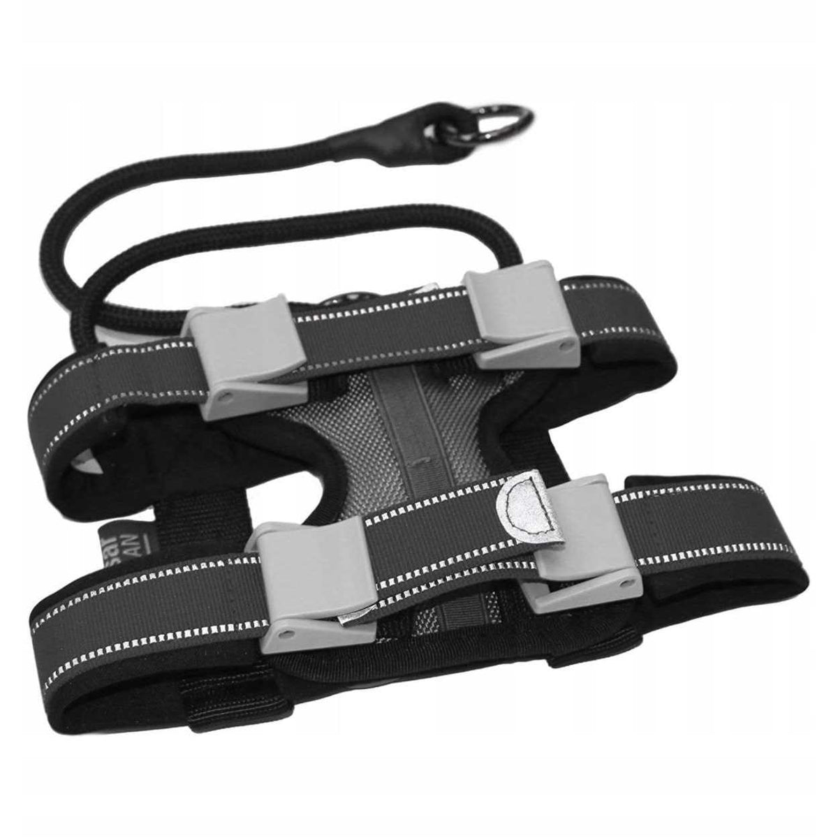 Training Collar A58170
