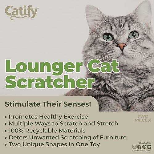 Pet Supplies Z7774