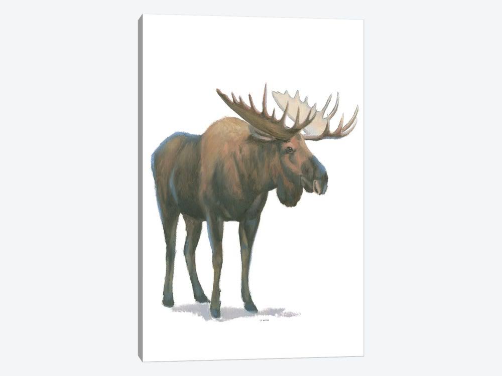 Canvas Art Moose Print R168644