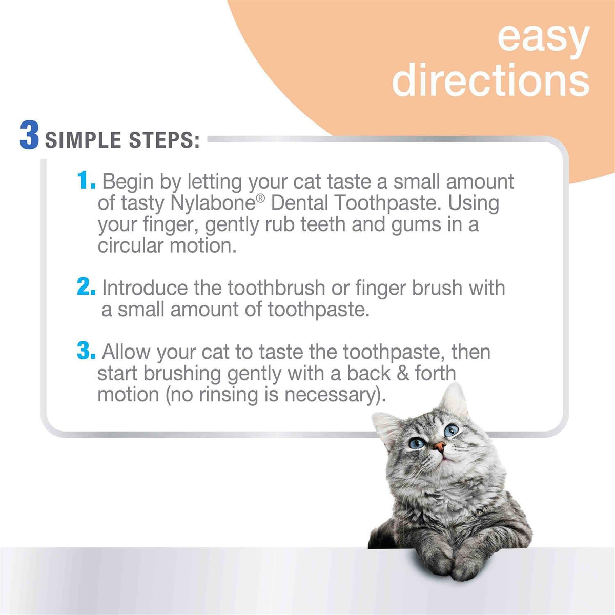 Cat Oral Care Dental Kit W63758