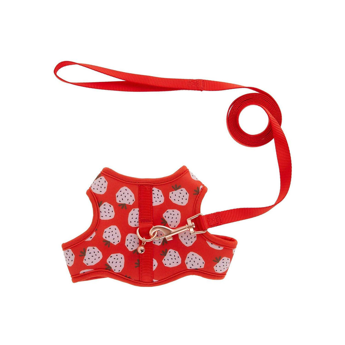 Cat Leash and Harness Combo J63862