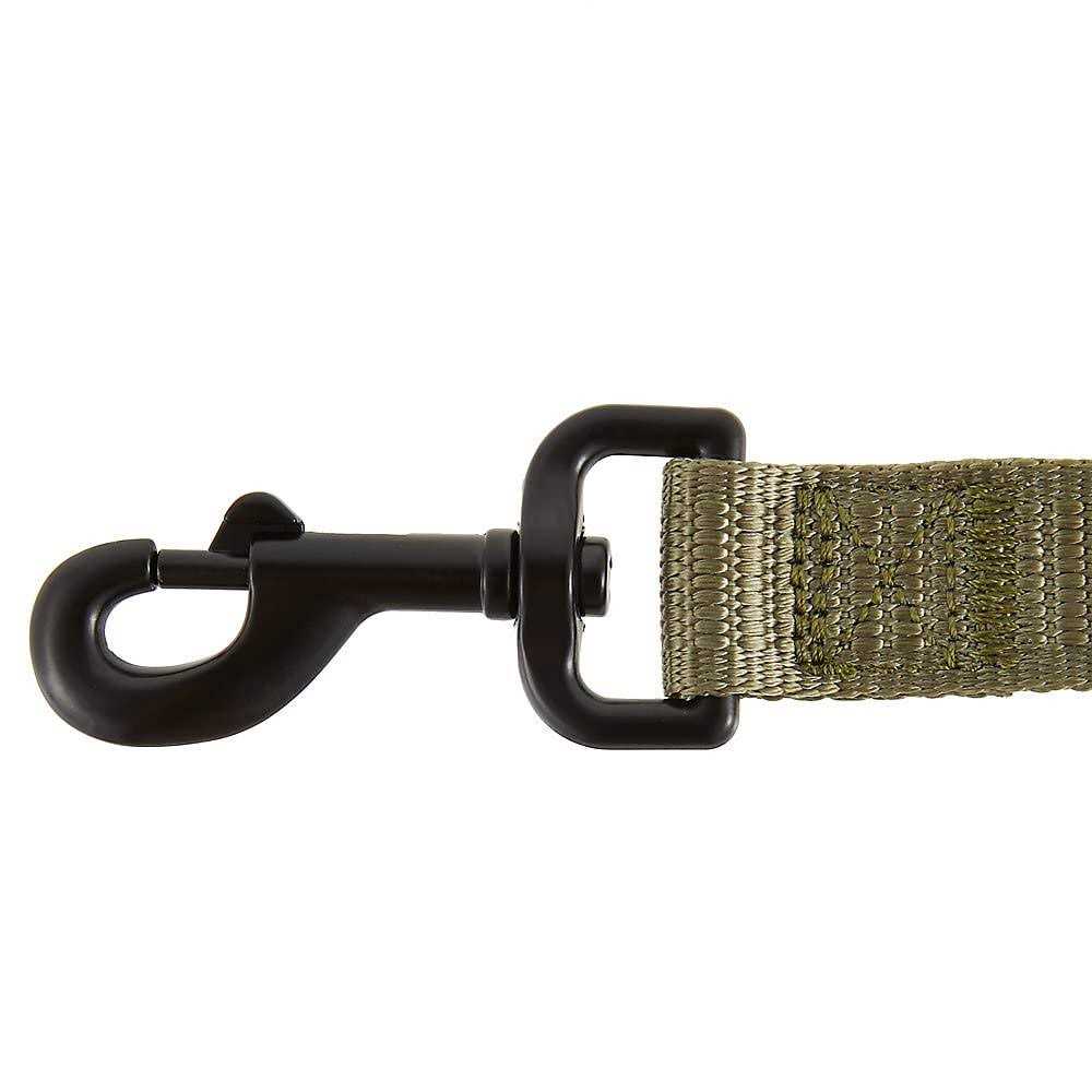Hands-Free Dog Leash 6-ft Green V525