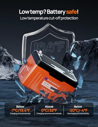 12V 100AH LiFePO4 Lithium Battery with Bluetooth T191
