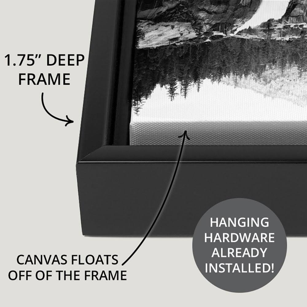 Black Float Frame Canvas Art 24 x 24 X6005