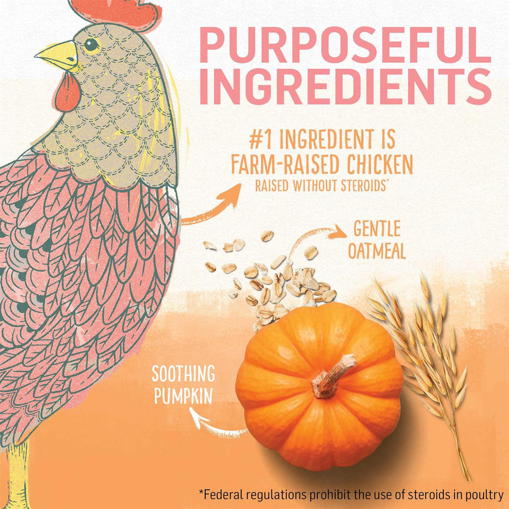 Natural Kitten Food Chicken & Oatmeal P8091