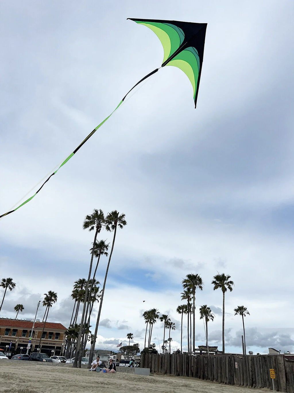 Giant Kite with Tail and String Q54666