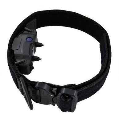 ID Collar P981