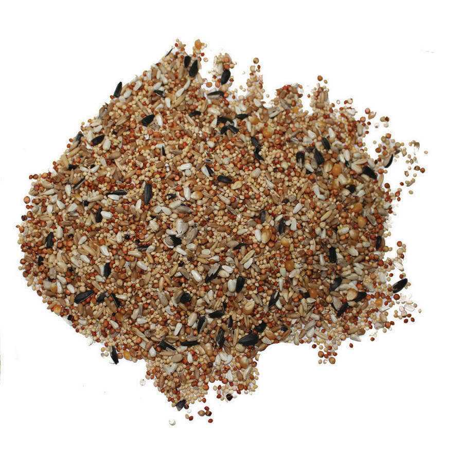 Dove & Quail Food O4710