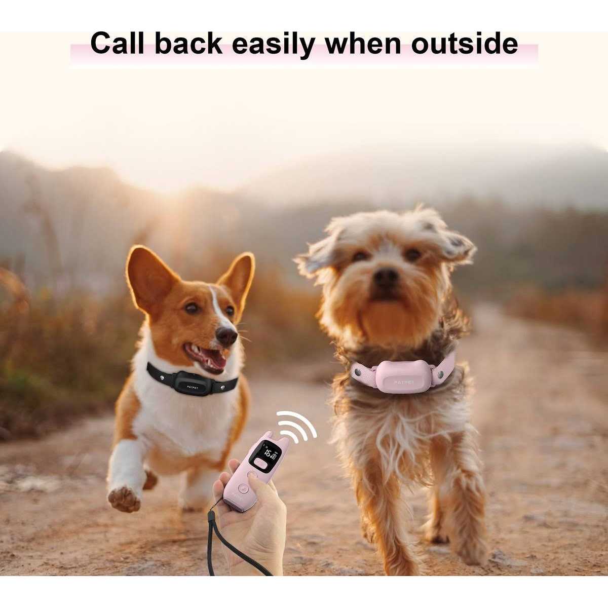 Remote Dog Training Collar T22764