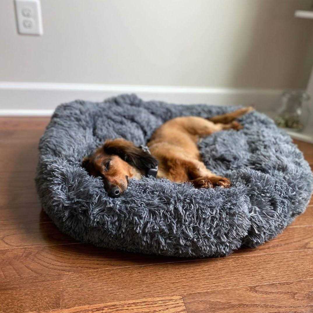 Calming Dog Bed B4701