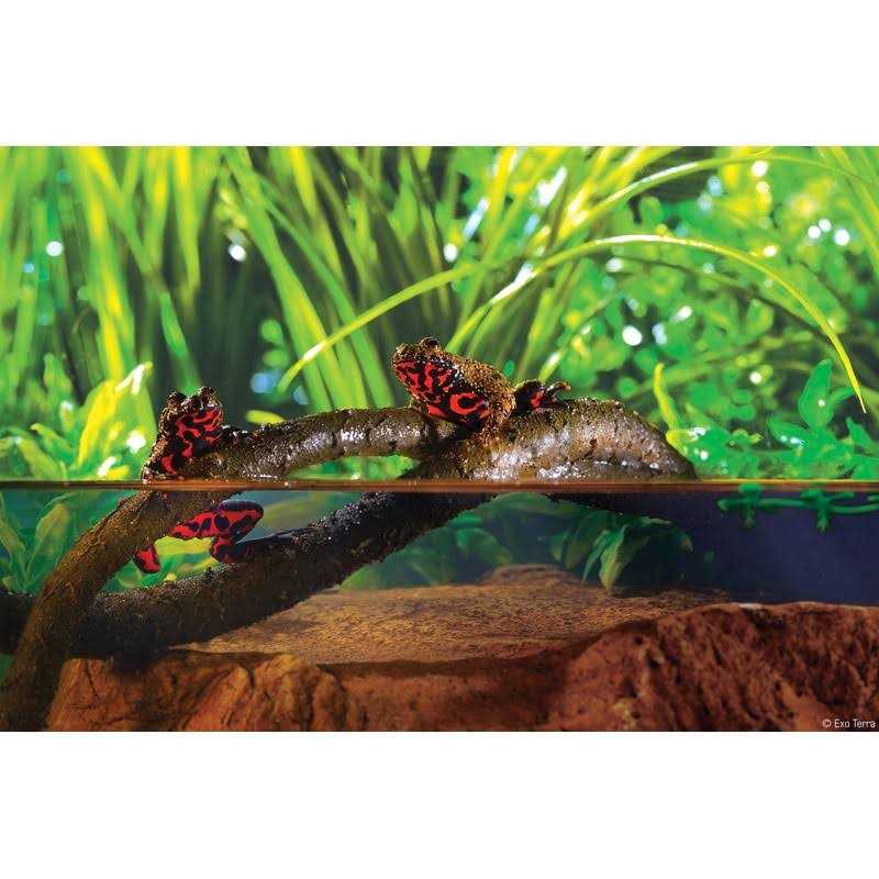 Jungle Vine F164