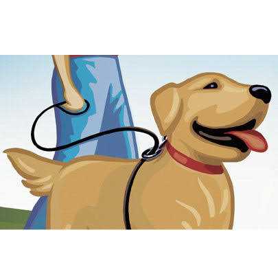 No Pull Dog Leash O863232