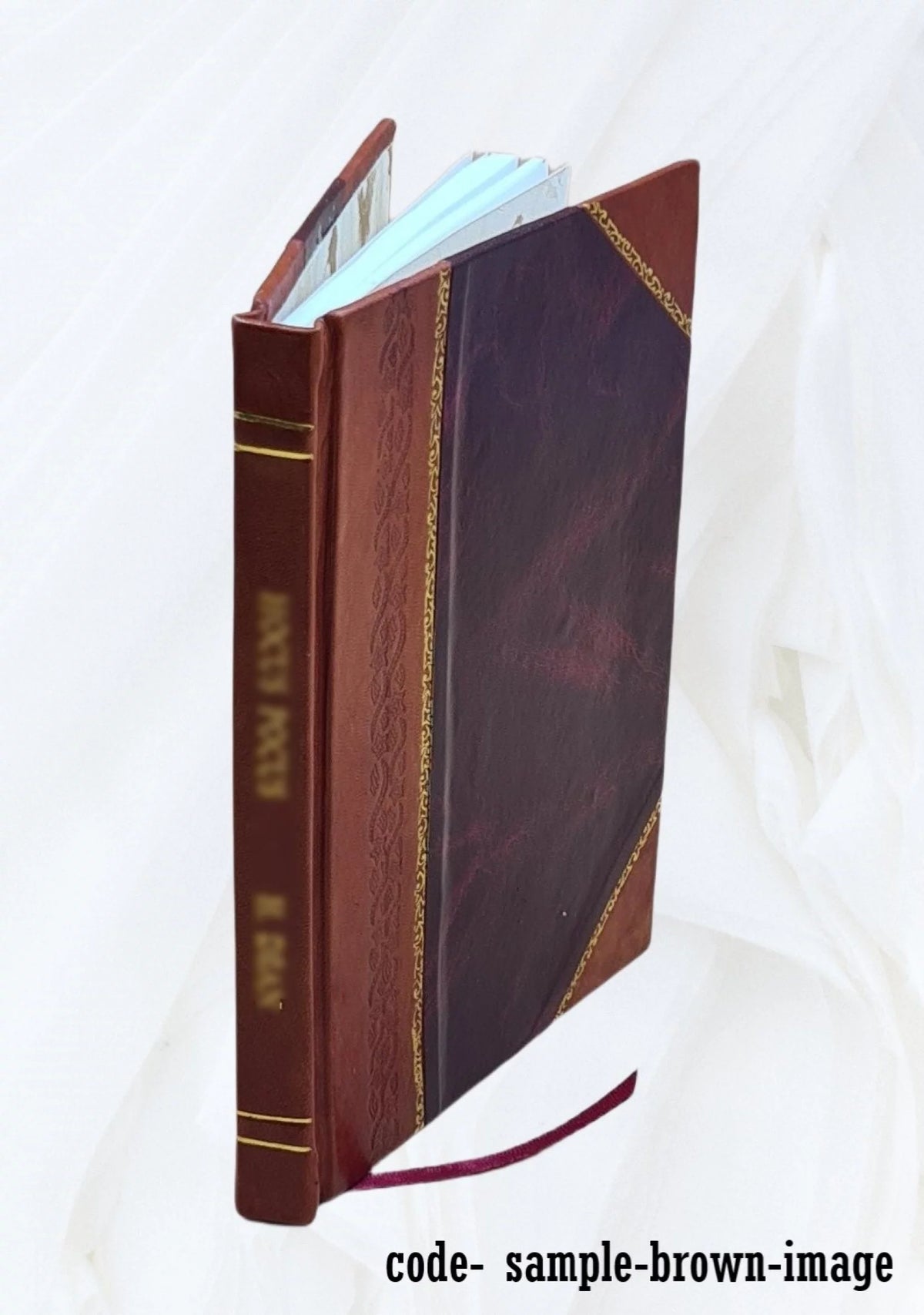 Leather Bound B460395