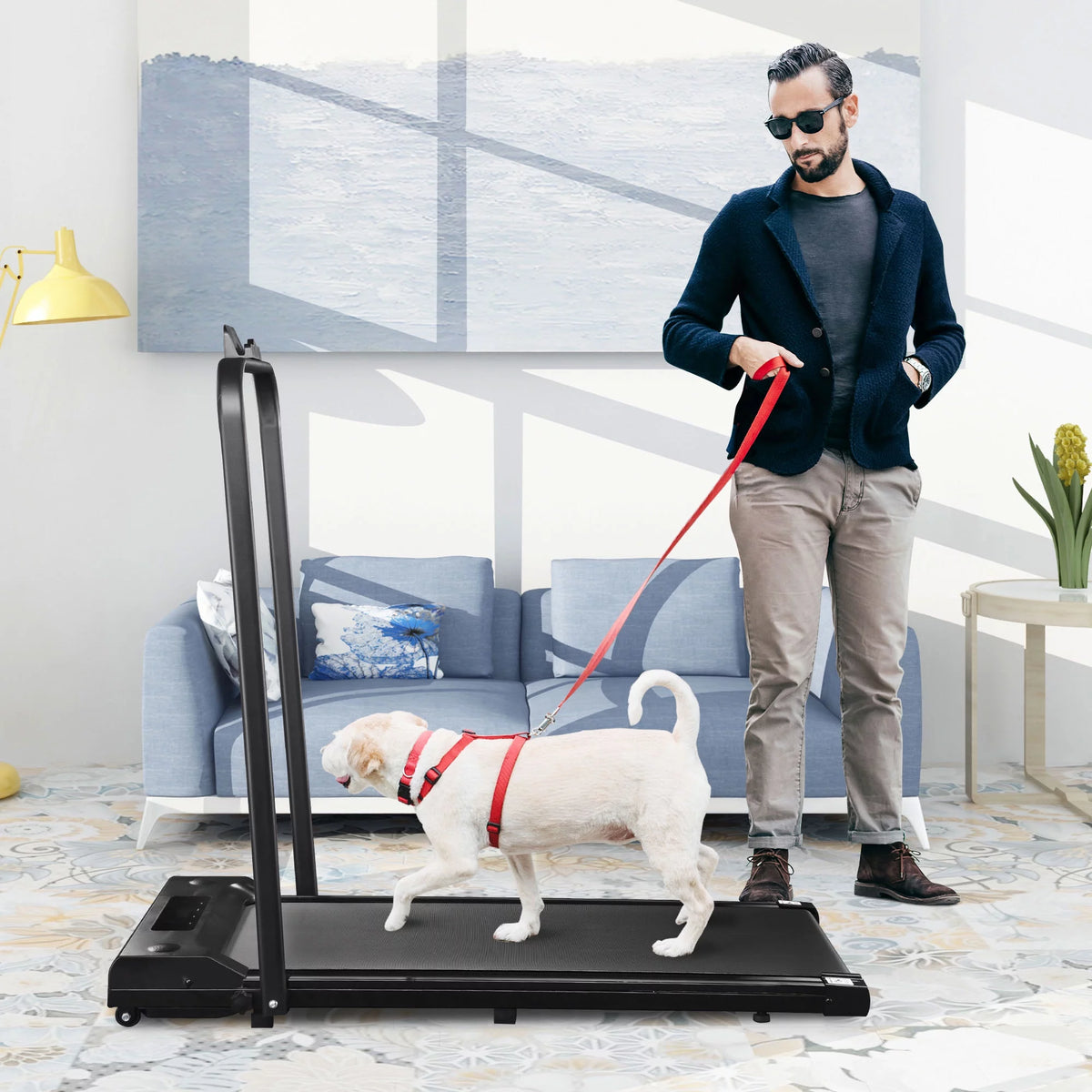 Foldable 2 in 1 Treadmill 1.5 HP H417906