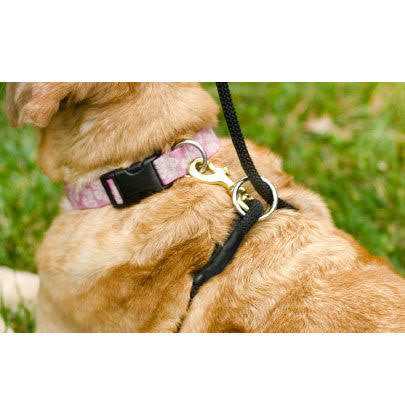 No Pull Dog Leash O863232