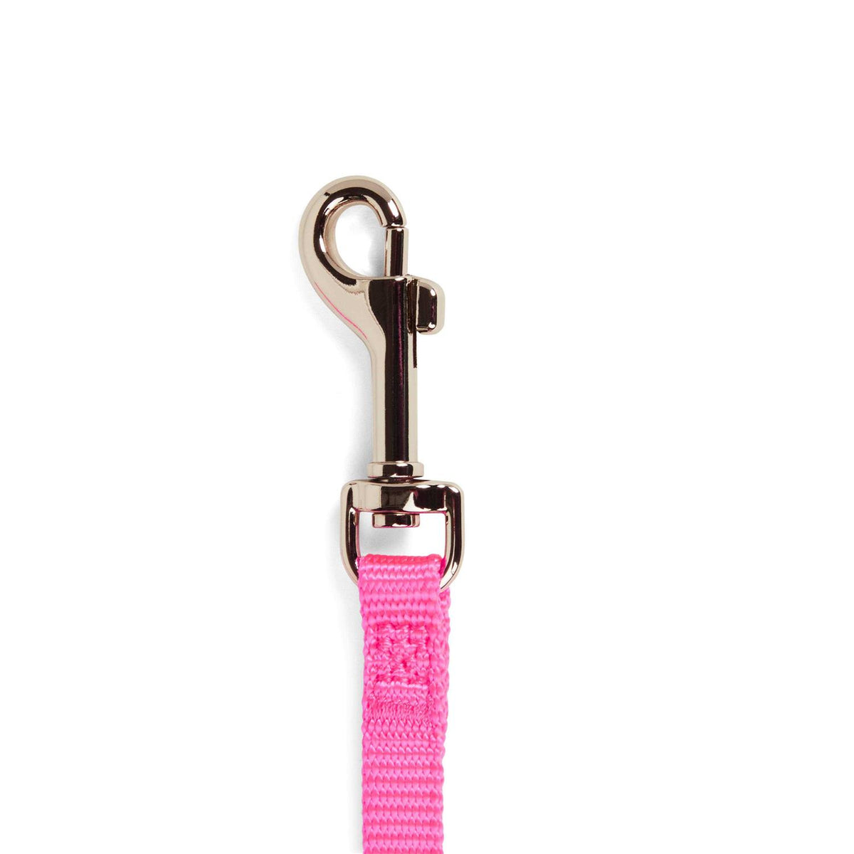 Dog Lead J569988