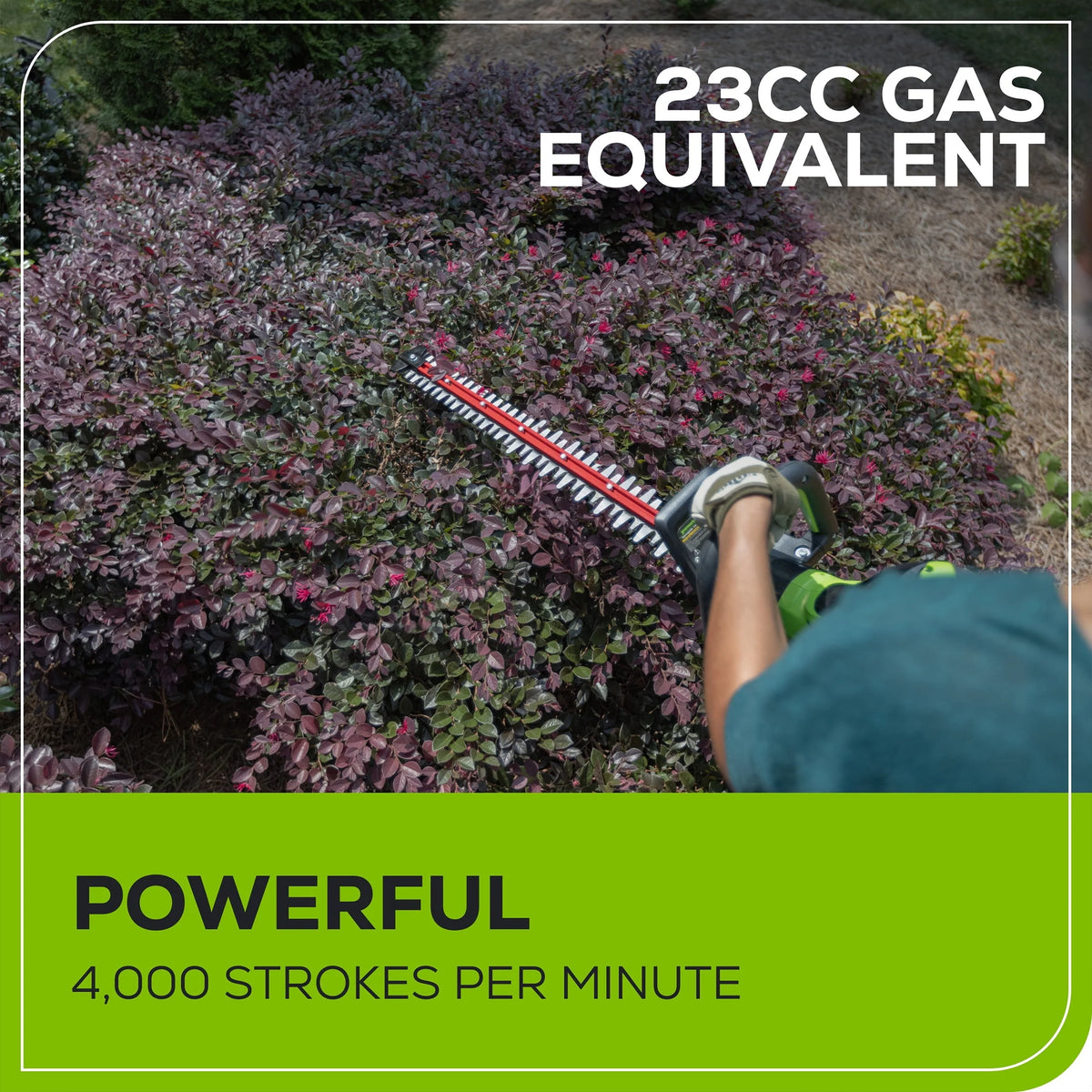 60V 26 Hedge Trimmer with 2.0 Ah Battery & 3 Amp Charger X319