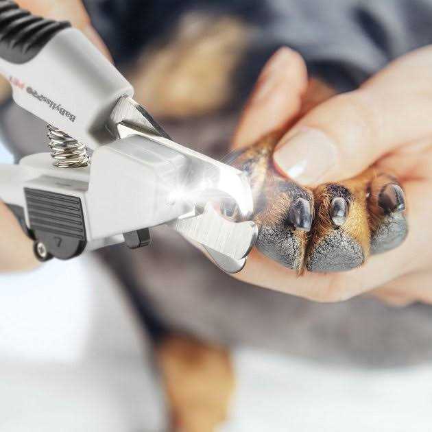 LED Nail Clipper U303223