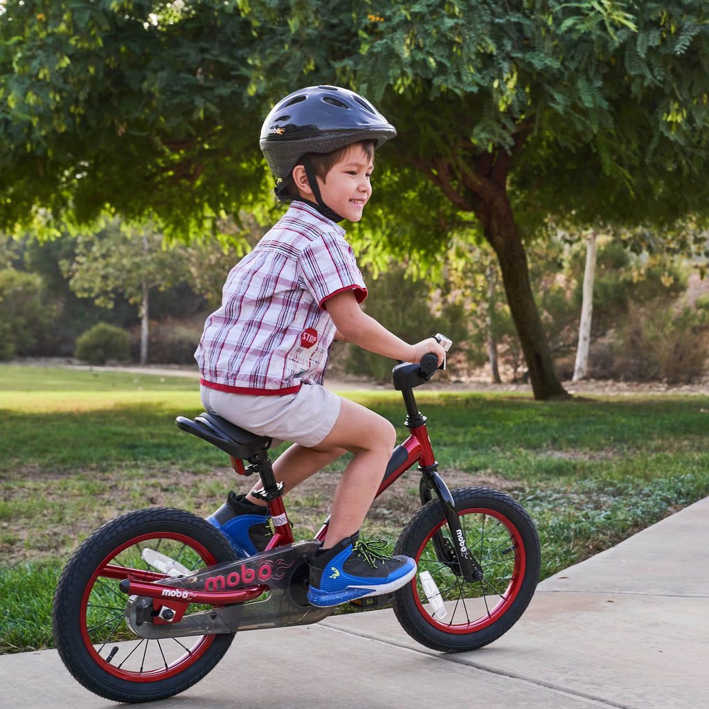 Boy's Bike Q69837